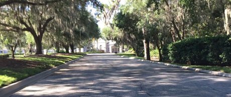 The canopy streets of Rosedale in Bradenton.