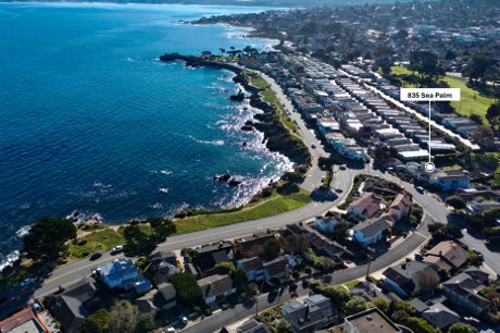 835 Sea Palm on the Pacific Grove coastline
