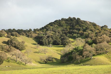 Scenic Hwy 68 Corridor between Monterey and Salinas