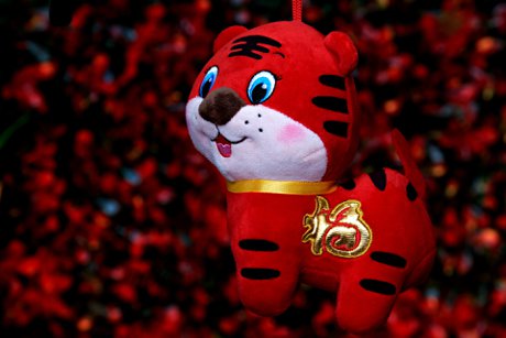 Lunar New Year
