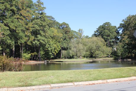 Garden Hills Duck pond