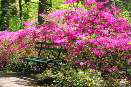 NC is great for walking for older adults