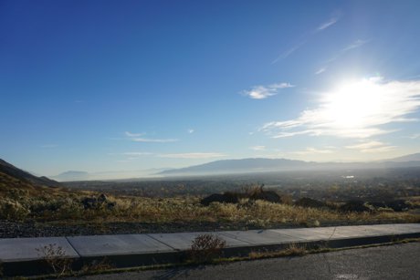 Lambert Park custom home lots