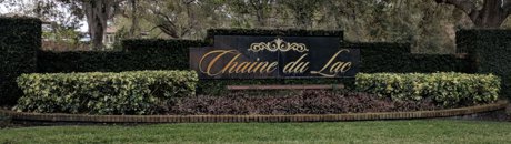 Chaine Du Lac Homes for Sale Windermere Florida