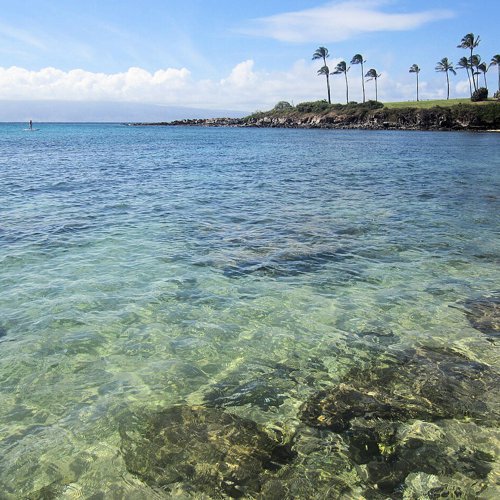 Kapalua Real Estate