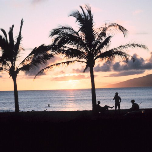 Napili Real Estate