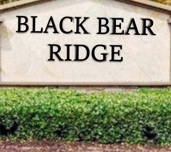 Explore Black Bear Ridge Homes