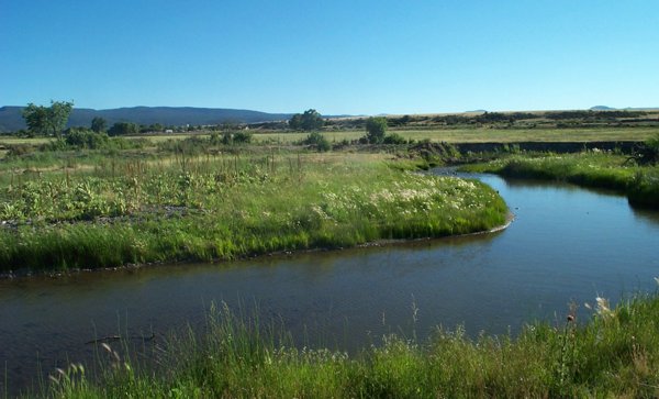 Creek winding through green fields