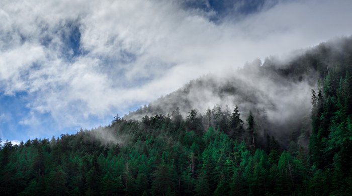 Clouds drifting over a forested ridge