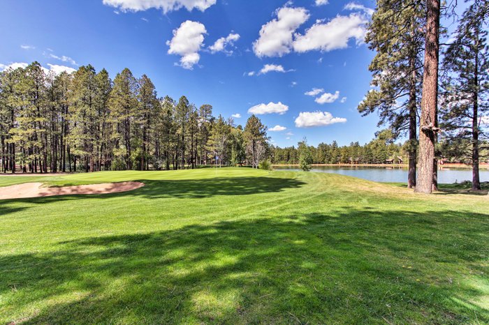 Golf course fairway lined with tall pines
