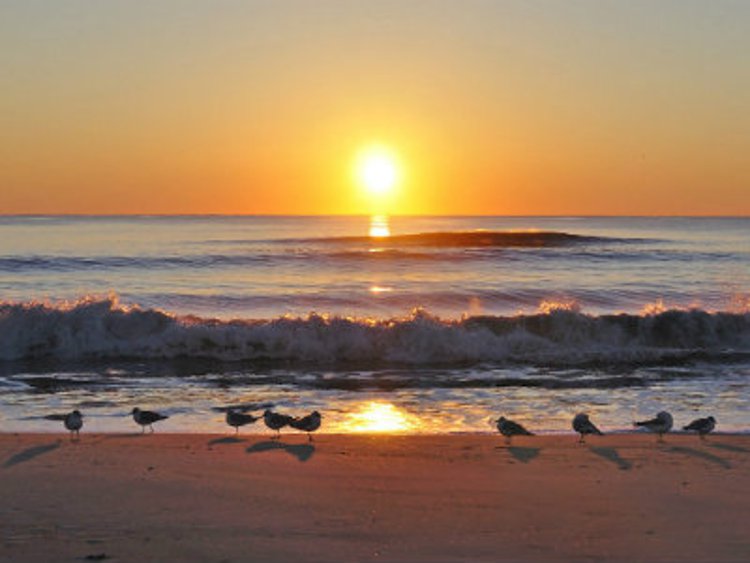 Oceanfront Condos for Sale in Ocean City, MD under $400,000