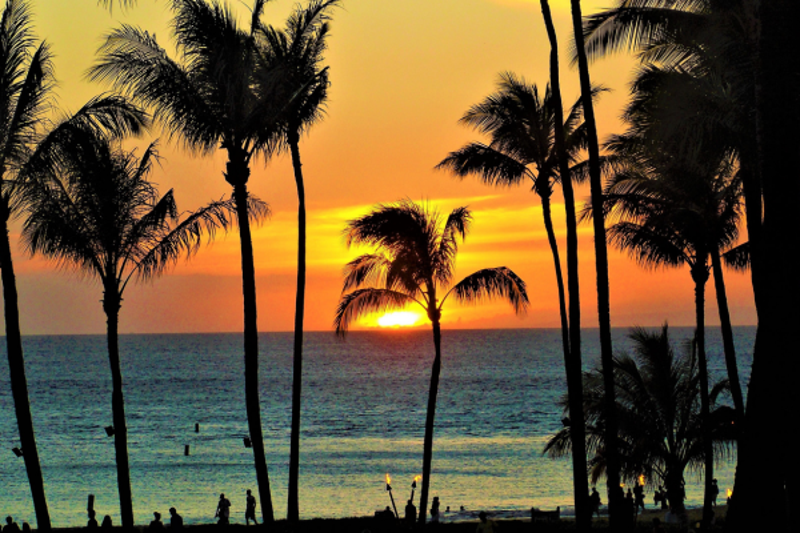 Maui Coastal Lifestyle