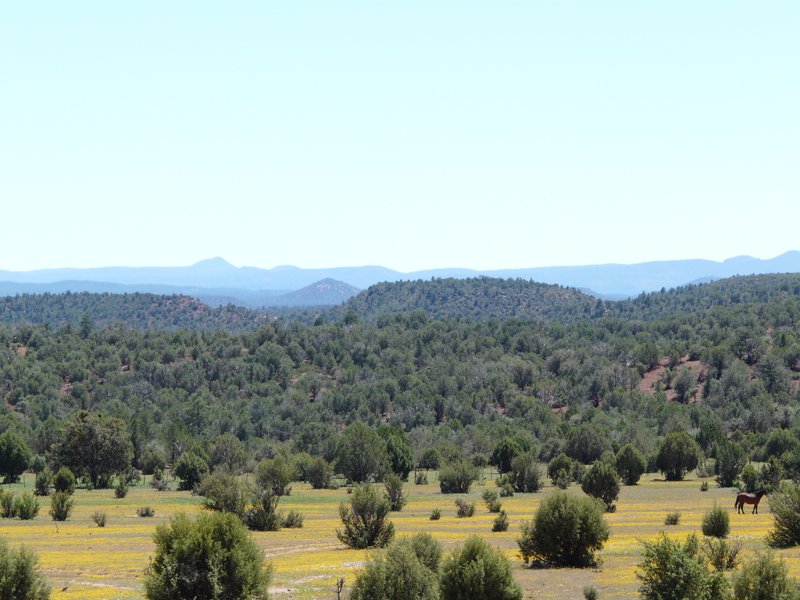 Vernon Homes for Sale