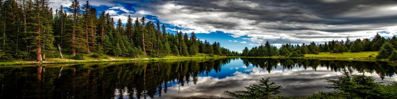 Pinetop-Lakeside Homes & Cabins for Sale
