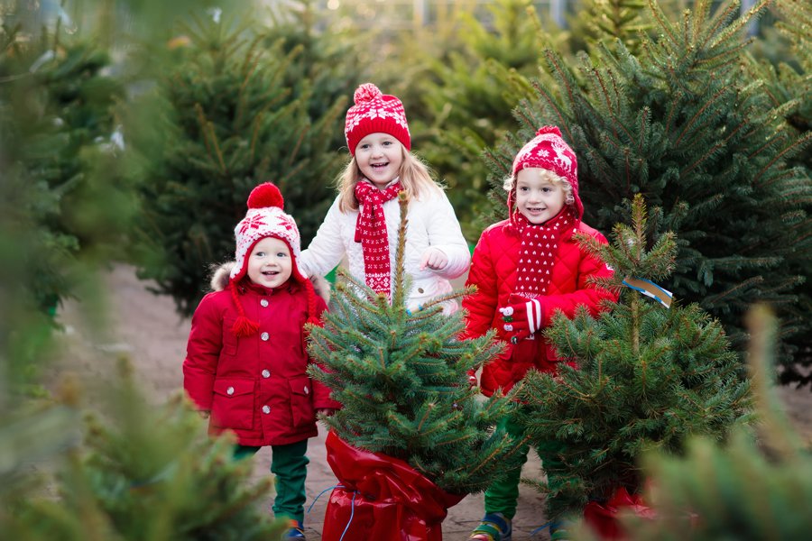 Seasonal community traditions in Mint Hill North Carolina