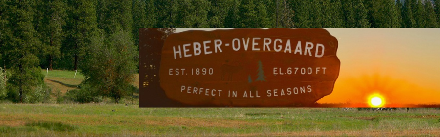 Heber-Overgaard welcome sign among the pines
