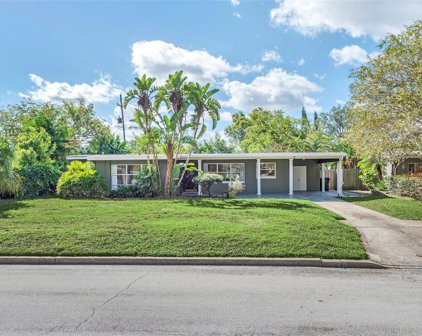 3506 Ibis Drive, Orlando