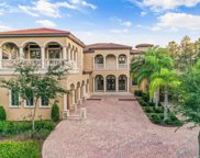 15020 Pendio Drive, Montverde image