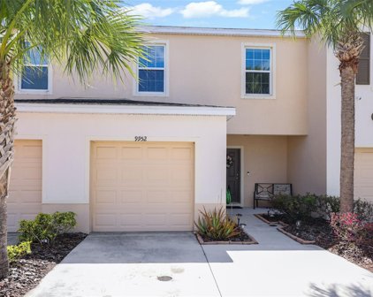 9952 Hound Chase Drive, Gibsonton