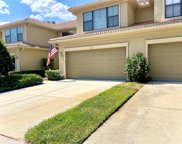 2613 Gloriosa Drive, Palm Harbor image