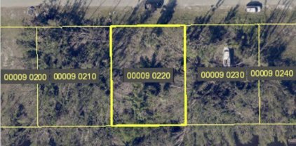 5431 Ann Arbor  Drive, Bokeelia