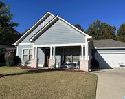 627 Polo Circle, Chelsea image