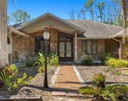 12431 Country Eagle Lane, Cape Coral image