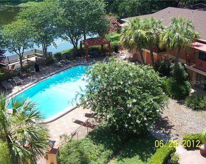 1100 Delaney Avenue Unit F503, Orlando