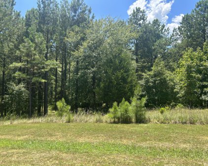 1482 ROCK POINT Cove, Tignall