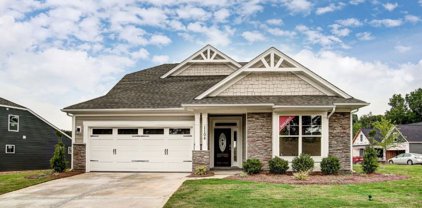 12107 Downrigger Drive, Chester