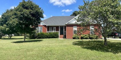 131 Arizona Dr, Lascassas