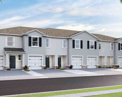 3522 Marigold Patch Court, Plant City