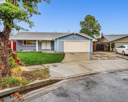 4711 Robin Ct, Fremont