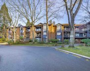 15300 17 Avenue Unit 319, Surrey image