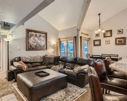 433 Wild Irishman  Road Unit 1022, Keystone