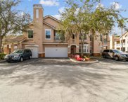 17982 Villa Creek Drive, Tampa image