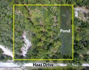 Lot 13 Haas Drive, Webster image