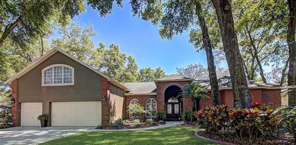 2562 Regal River Road, Valrico