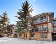 650 S Monarch Street Unit #Unit 2, Aspen image