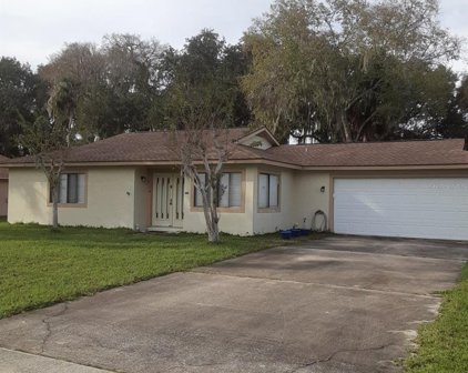 16 Blackberry Place, Palm Coast