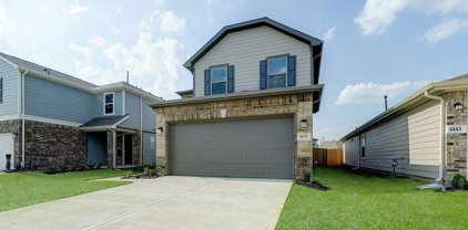 6139 Morning Fern Lane, Humble
