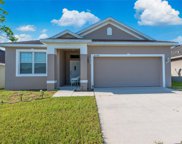30798 Water Lily Drive, Brooksville image