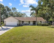 12516 Twin Branch Acres Road, Tampa image