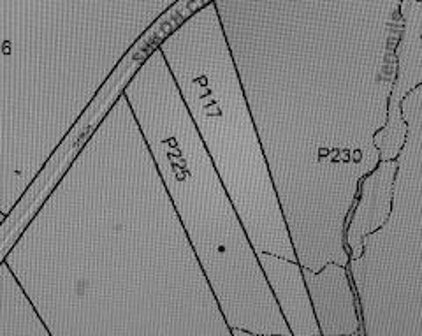 Shiloh Church Rd Unit #LOT P225, Boyds