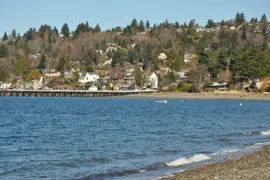 fauntleroy bay