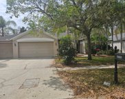 10612 Rochester Way, Tampa image
