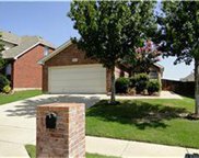 3141 Spotted Owl  Drive, Fort Worth image