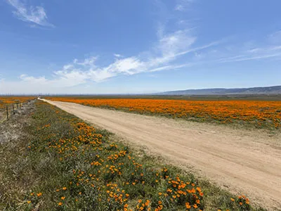 Lancaster CA Lease to Own Homes Search