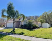 1223 Timber Trace Drive, Wesley Chapel image