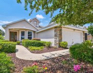 2354 Wakefield Way, Mount Dora image